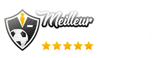 logo footer